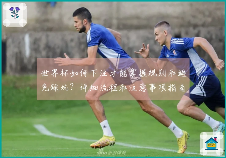 世界杯如何下注才能掌握规则和避免踩坑？详细流程和注意事项指南