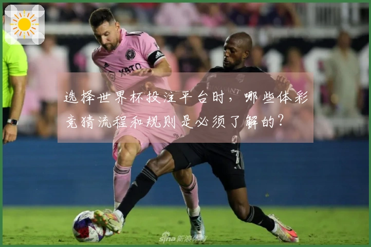 选择世界杯投注平台时，哪些体彩竞猜流程和规则是必须了解的？