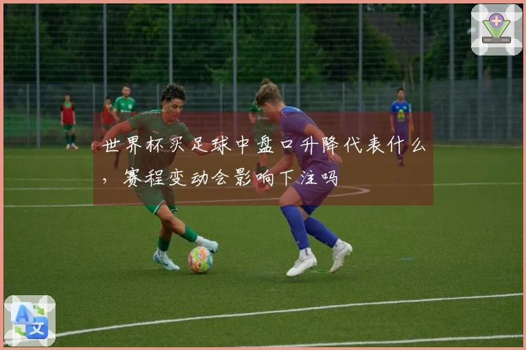 世界杯买足球中盘口升降代表什么，赛程变动会影响下注吗