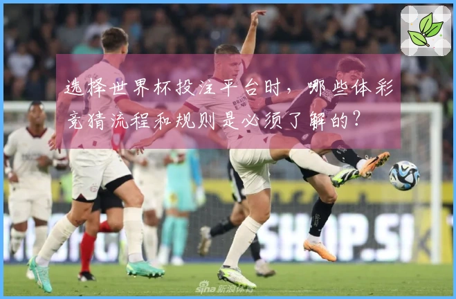 选择世界杯投注平台时，哪些体彩竞猜流程和规则是必须了解的？